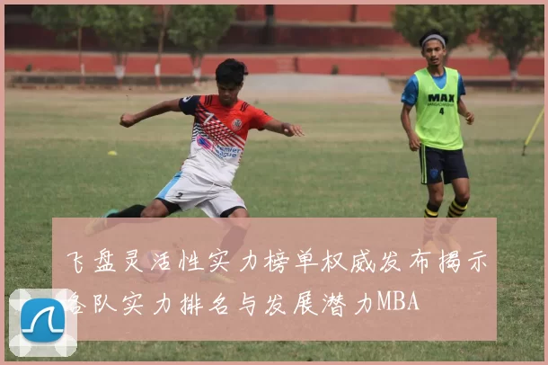 飞盘灵活性实力榜单权威发布揭示各队实力排名与发展潜力MBA