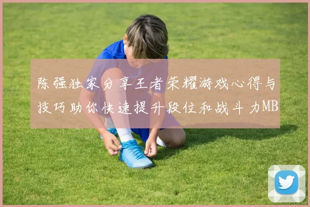 陈强独家分享王者荣耀游戏心得与技巧助你快速提升段位和战斗力MBA