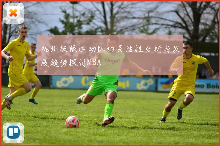 杭州极限运动队的灵活性分析与发展趋势探讨MBA