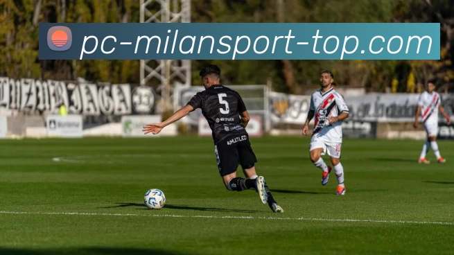 国际米兰官方网站平台生态图